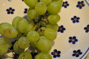 Cheesecake uden husblas - ostekage opskrift