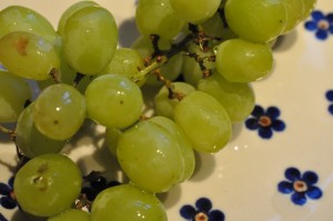 Cheesecake uden husblas - ostekage opskrift