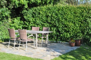 Blomsterliv og havelykke - sommerpostkort 