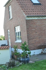 Blomsterliv og havelykke - sommerpostkort 