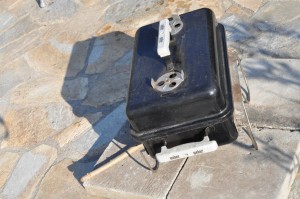 Blomsterliv og havelykke - sommerpostkort 