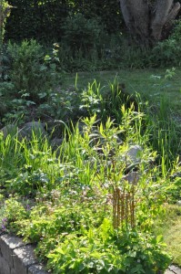 Blomsterliv og havelykke - sommerpostkort 