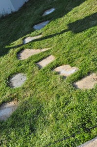 Blomsterliv og havelykke - sommerpostkort 