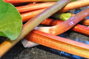 Rabarberkage med marcipan og skyr opskrift