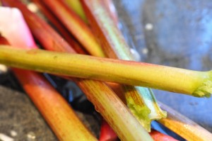 Rabarberkage med marcipan og skyr opskrift 