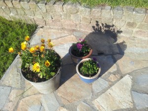 Sommerlykkeligt indlæg - vil du med en tur i min lykkevogn?