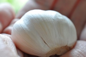 Marineret kalkunbryst med opskrift på marinade