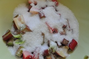 Rabarbermuffins med kokos & hvid chokolade