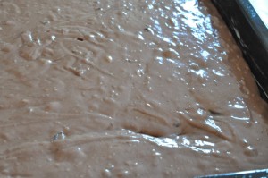 Chokoladekage nem stor bradepandekage