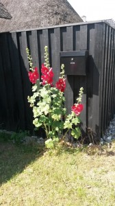 Sommerlig fødseldagstur til Faldsled