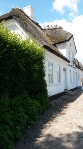 Sommerlig fødseldagstur til Faldsled