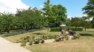 Sommerlig fødseldagstur til Faldsled