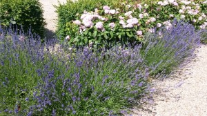 Sommerlig fødseldagstur til Faldsled