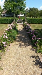 Sommerlig fødseldagstur til Faldsled