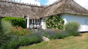 Sommerlig fødseldagstur til Faldsled