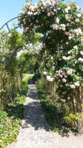 Sommerlig fødseldagstur til Faldsled