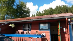 Smukke Bergen og koteletter med sommergrønt