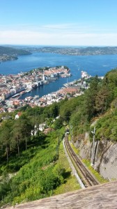 Smukke Bergen og koteletter med sommergrønt