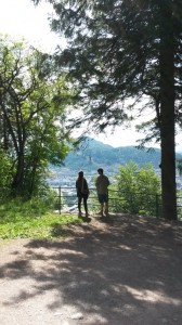 Smukke Bergen og koteletter med sommergrønt