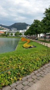 Smukke Bergen og koteletter med sommergrønt