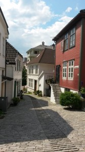 Smukke Bergen og koteletter med sommergrønt