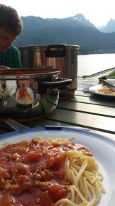 Sommerdagbog fra fjeldhytten i Norge