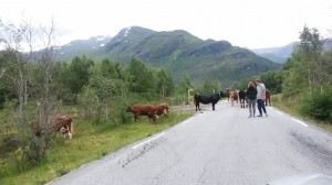 Slalom i Norge og kylling på fjeldtoppen