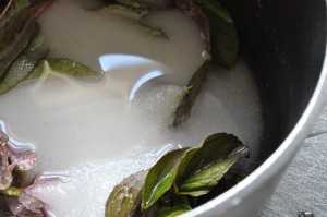 Myntesirup - opskrift på nem sirup med mynte