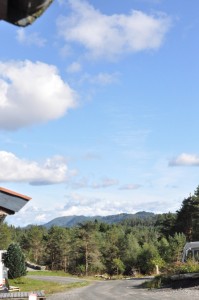 Smukke Bergen og koteletter med sommergrønt