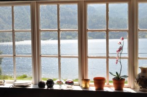 Sommerdagbog fra fjeldhytten i Norge