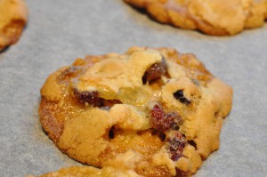 DSC_8305 • nogetiovnen.dk Småkager med kondenseret mælk og mandler - sprøde cookies