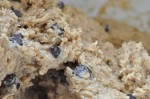 Cookies med kanel, chokolade & kardemomme