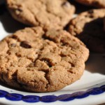 Sprøde cookies med kanel, kardemomme og chokolade