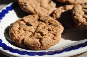 DSC_8763 • nogetiovnen.dk Sprøde cookies med kanel, kardemomme og chokolade