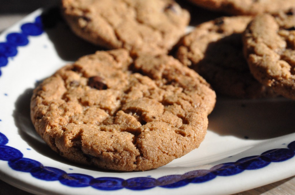 DSC_8763 • nogetiovnen.dk Sprøde cookies med kanel, kardemomme og chokolade