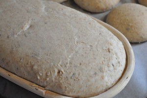 Smagfuldt brød med Manitoba- og grahamsmel