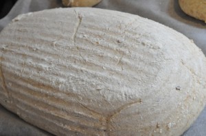 Smagfuldt brød med Manitoba- og grahamsmel