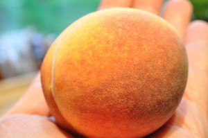 Marmelade med fersken og nektarin - opskrift