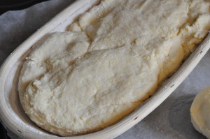 Franskbrød med Manitoba & majsmel - majsbrød