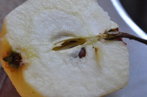 Æblekage med marcipan, makroner og appelsin - saftig