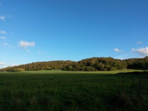 sol og blå himmel
