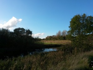 Gjerrild
