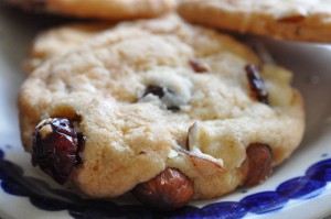 DSC_9756 • nogetiovnen.dk Cookies med tranebær vanilje og mandler