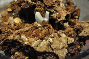 Chokoladekage til havregrynskugler