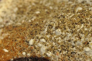 Pebernødder a la Lagkagehuset - nem opskrift