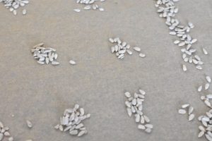 Boller & brød med risengrød rester - opskrift