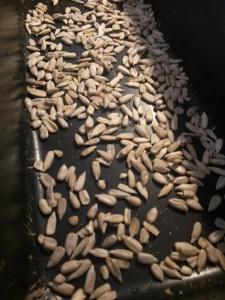 Saftigt rugbrød - tre tips til rugbrødsbageren