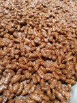 Rice Krispies kage - chokoladekage choco bites