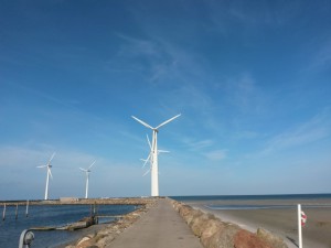 Bønnerup Havn og på besøg hos fiskemanden