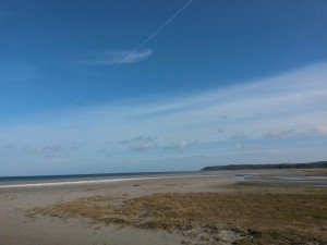 Bønnerup Havn og på besøg hos fiskemanden